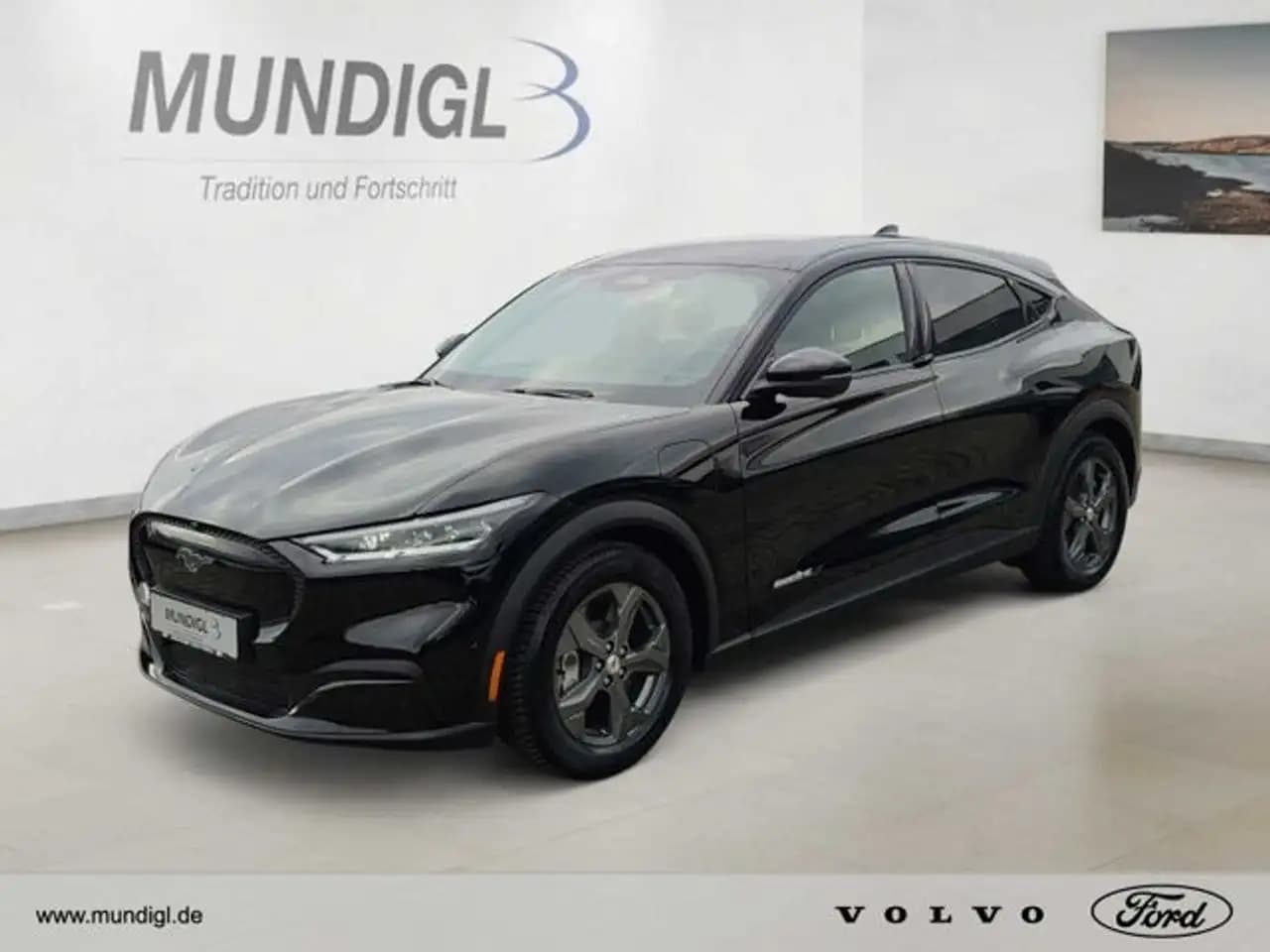 Ford Mustang Mach-E 2021 г. 41526 км.